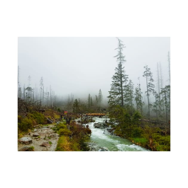 A Foggy Hike by Kate-P-