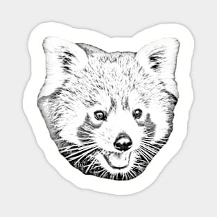 Red Panda Magnet