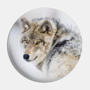 Gray Wolf Looking Back Pin