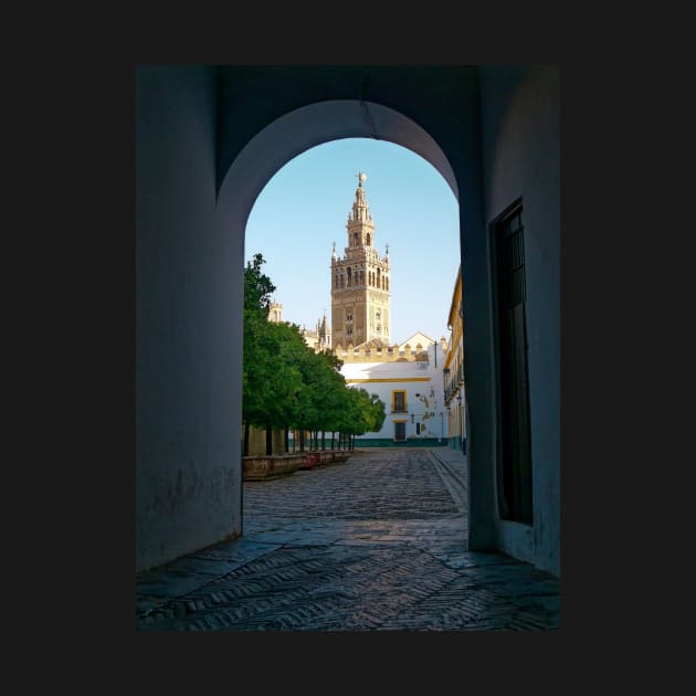 The Cathedral of  Saint Mary of the See, Seville, Spain by stevepaint