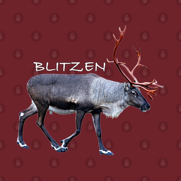 Blitzen by FotoJarmo