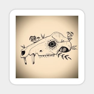 Opossum Skull Design Magnet