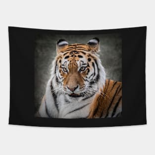 Tiger Portrait Tapestry