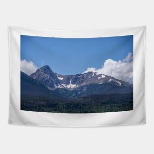 Colorado Mountain Tapestry