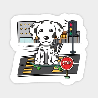 Funny dalmatian is on a skateboard Magnet