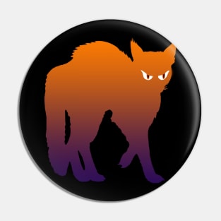 Witches Cat Pin