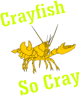 Crayfish So Cray Magnet