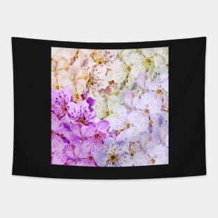 beautiful colorful apple blossoms Tapestry