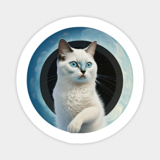 Whimsical Cat Illustrations for the Feline Enthusiast Magnet