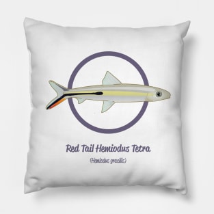 Red Tail Hemiodus Tetra Pillow