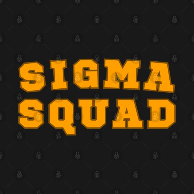 SIGMA SQUAD - Lean Six Sigma team work by Viz4Business