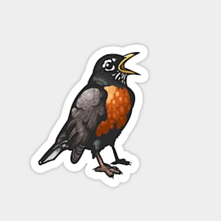 American Robin Magnet