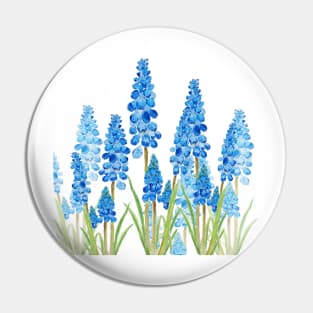 blue grape hyacinth watercolor Pin