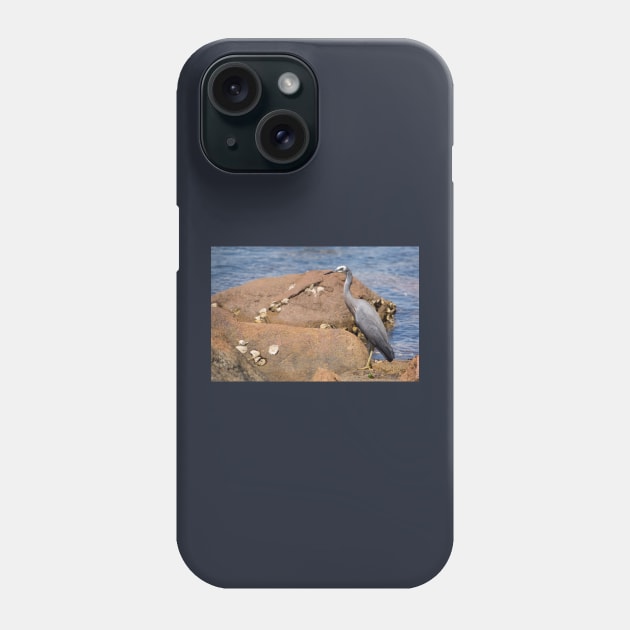 heron at the beach Phone Case by sma1050