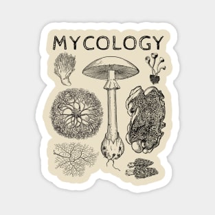 Mycology Fungi Mushroom Magnet