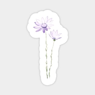 purple exeranthemum flowers watercolor Magnet