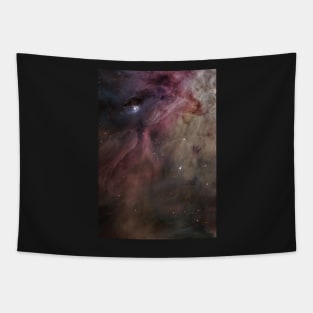 DARK MUTED GALAXY RAINBOW STARS SPACE Tapestry