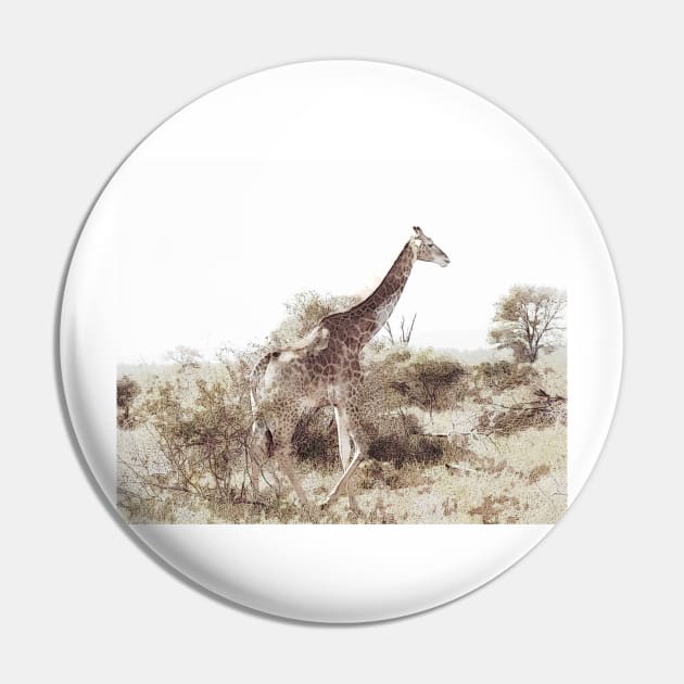 Giraffe in his element Pin by johnwebbstock