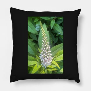 Forest Bathing with Tender Nature Pillow