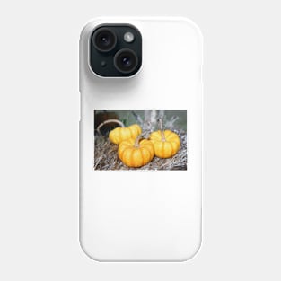 Three Mini Pumpkins Phone Case