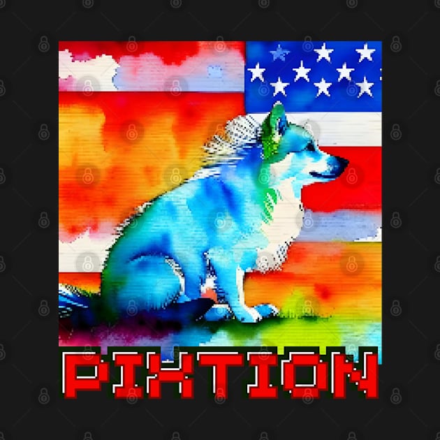 America by pixtion