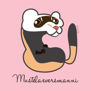 Steppe polecat Mustela eversmanni T-Shirt