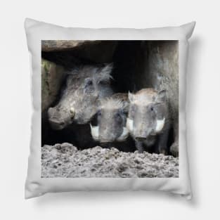 Warthog 006 Pillow