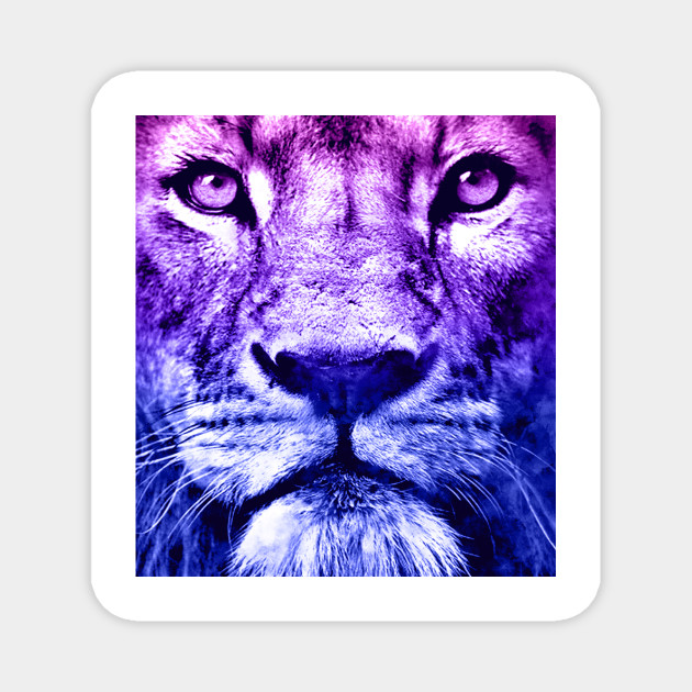 Colorful Abstract Lion Art Lion Artwork Magnet Teepublic