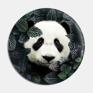 PANDA Pin