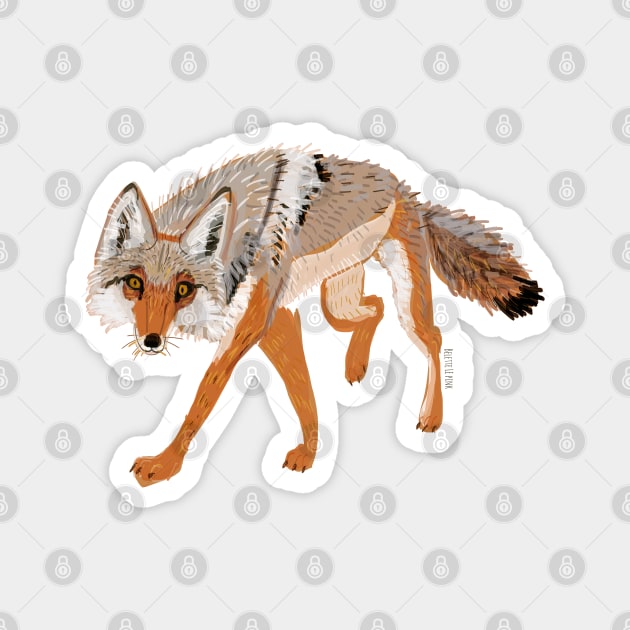 Coyote full body Magnet by belettelepink