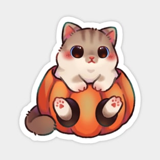 Pumpkin Kitty Magnet