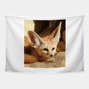 Fennec Fox Tapestry