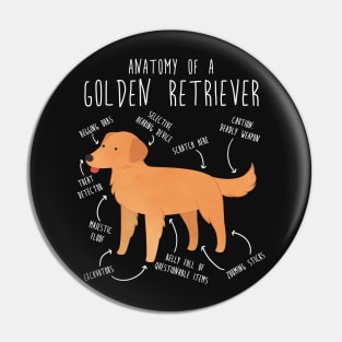 Golden Retriever Anatomy Pin