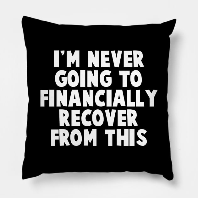 I'm Never Going To Financially Recover From This Pillow by TextTees