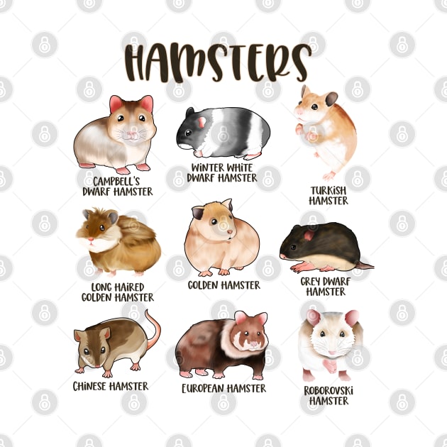 Many different hamsters - types of hamsters by Modern Medieval Design