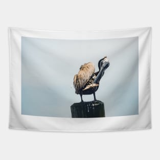 Grooming Pelican Tapestry