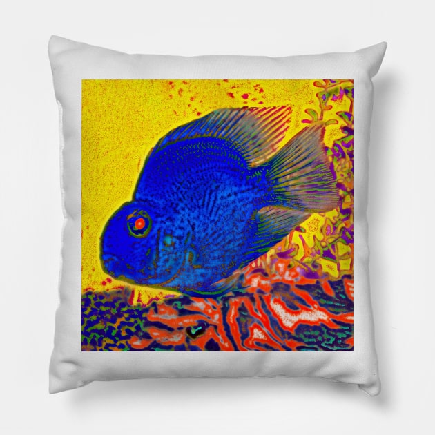 Beautiful Fish #4 Pillow by markross