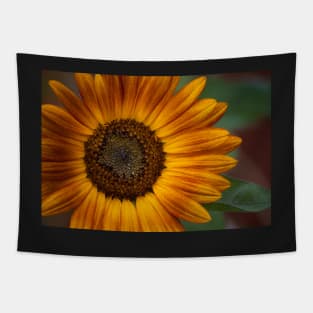 Sunflower Series XVIII Tapestry