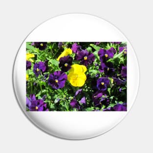 Purple And Yellow Flowers Pin