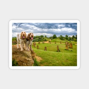 Dogs on a Rock Spinoni Magnet