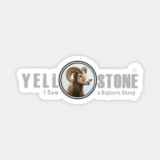 I Saw a Bighorn, Yellowstone National Park Magnet