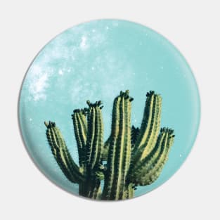 Boho Mexican Desert Cactus Succulent Pin