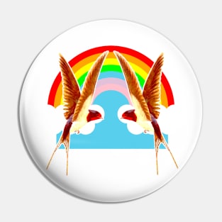 Two birds playing in the rainbow Pin