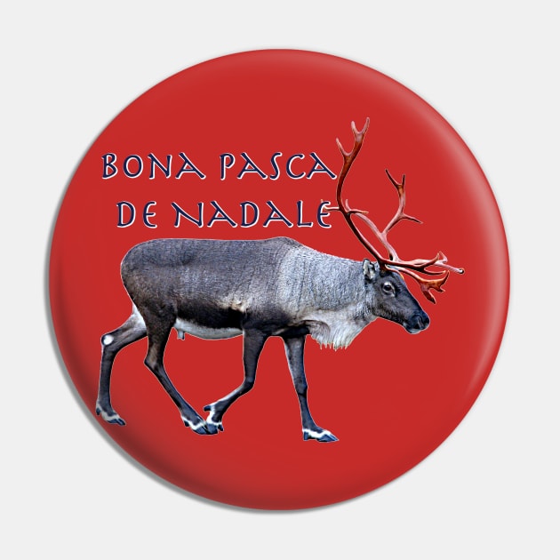 Bona Pasca de Nadale Pin by FotoJarmo