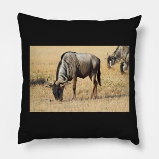 White Race Wildebeest Grazing Pillow