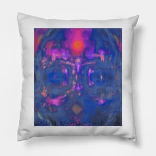 Skull Bottle Sorcery Episode 49 Pillow