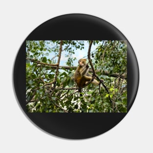 Planet Monkey Jungle Wildlife Pin