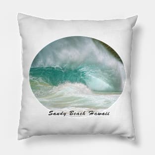 Obama's Bodysurfing Beach Pillow