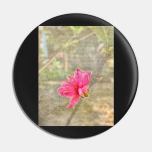 Peach tree blossom with texture Pin