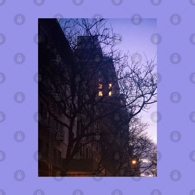 House Trees Winter, Upper West Side, Manhattan, NYC by eleonoraingrid